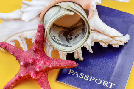 Seashells and starfish with green american dollars usa and blue passport on yellow background. Money for travel and vacation savings concept.の写真素材