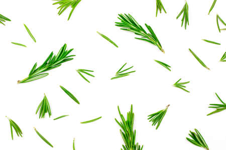 Isolated on white rosemary textured top view flat lay background with green, freshly cut leaves, twigs and branches.の写真素材