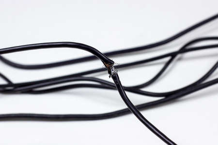 Damaged by rats black electric cord on white background. Dangerous broken power electrical cableの写真素材