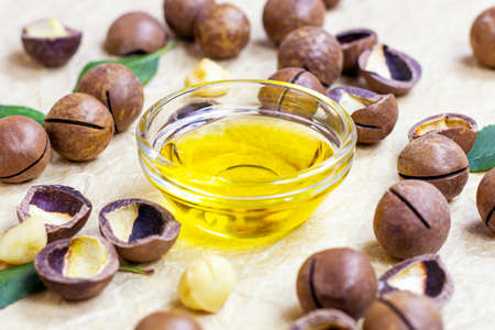 Brown macadamia nuts with yellow oil in a glass bowl on light wooden background.の写真素材