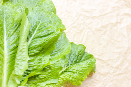 Fresh raw green romaine lettuce leaves for salad on light background with copy space.