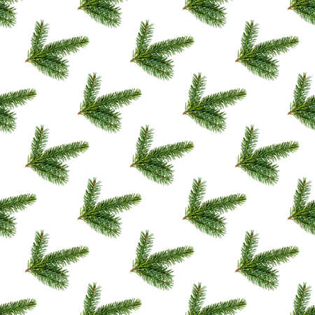 Top view flat lay green fir tree spruce seamless repeat pattern on white background.の写真素材