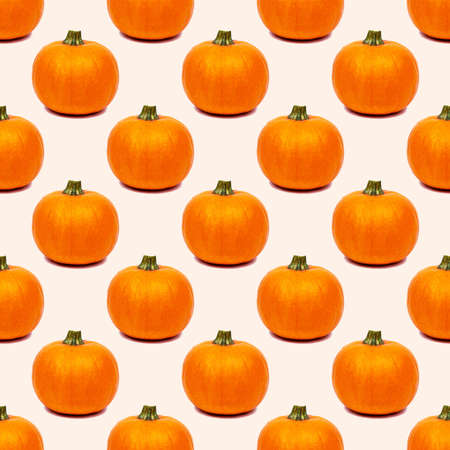 Yellow and orange pumpkin repeat seamless pattern on light background.の写真素材