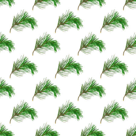 Top view flat lay pine tree spruce seamless repeat pattern on light green background.の写真素材
