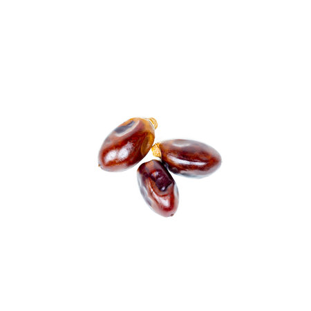 Sweet dried brown dates isolated on white background.の写真素材