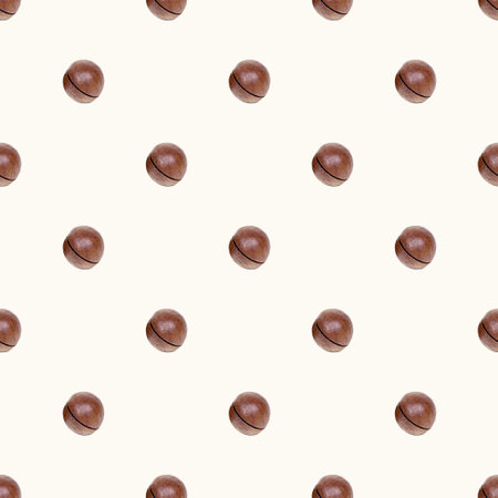 Brown round macadamia nuts seamless pattern on light background.の写真素材