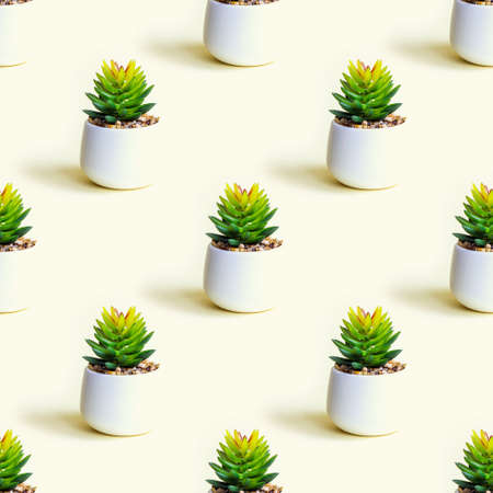 Green succulent flower plant in the pot repeat seamless pattern on light yellow background.の写真素材