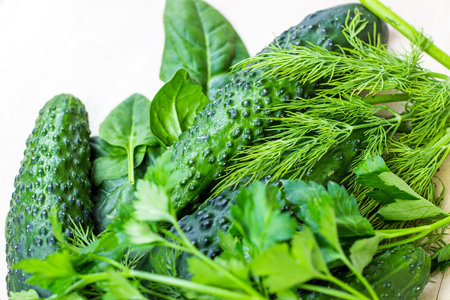 Fresh green summer cucumbers with herbs from vegetable garden on light background in the kitchen.
