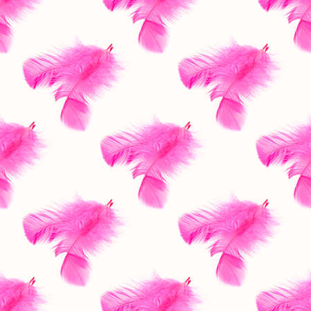 Bright pink bird feather repeat seamless pattern on light background.の写真素材