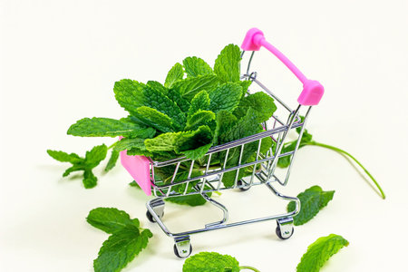 Fresh green mint leaves in the shopping cart on light background.の写真素材