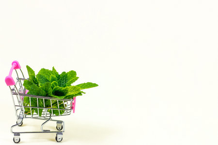 Fresh green mint leaves in the shopping cart with copy space for text on light background.