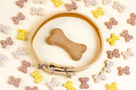 Top view of brown biscuit bones for dogs in a beige collar on light background. Dog and puppy food, healthy treats.の写真素材