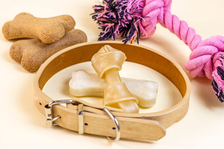 Brown biscuit bones for dogs in a beige collar with toys on light background. Dog and puppy food, healthy treats.の写真素材