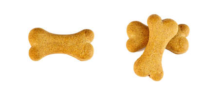 Top view of crunchy brown bone shaped dog biscuit as a treat set isolated on white background close up.の写真素材