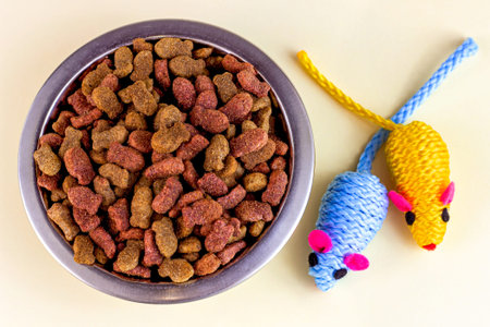 Top view of healthy dry cat food. Brown crunchy organic kitty kibble pieces in a bowl for pet feed...