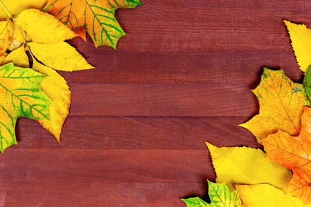 Bright colorful yellow and orange autumnal leaves on brown wooden plank background with copy space...