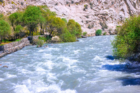 Fast mountain river water stream with waves flowing near the rocky bank with trees in summer.の写真素材