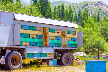 Many bee hives in the car truck (beekeeping wagon) on the country farm on the sunny summer day.の写真素材