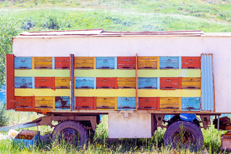 Many bee hives in the car truck (beekeeping wagon) on the country farm on the sunny summer day.の写真素材