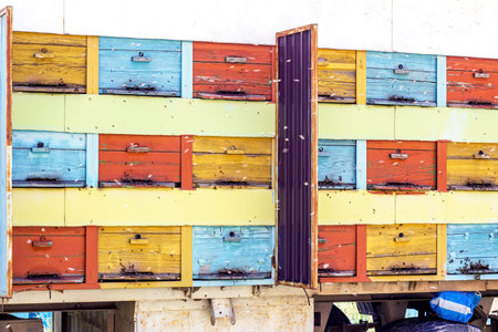 Many bee hives in the car truck (beekeeping wagon) on the country farm on the sunny summer day.の写真素材