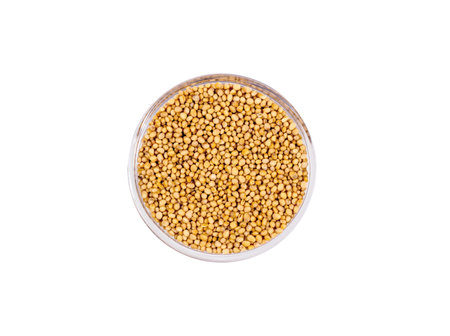 Whole grain dry Dijon mustard seeds in a glass round bowl isolated on white background top view.の写真素材