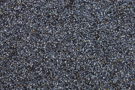 Black small dried poppy seeds close up top view.の写真素材