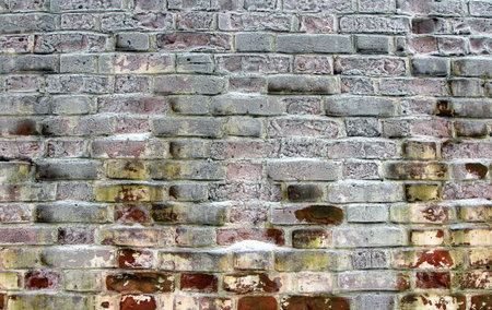 Brick wall covered with frost