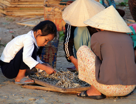MUI NE, VIETNAM - FEB 13, 2009: Vietnamese women sort fish for the famous fish sauce Nouc-mam. Extraction of seafood is the main business in the coastal villages of Vietnamのeditorial素材