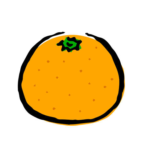 Ink and Brush style illustration Fruit_Orangeのイラスト素材