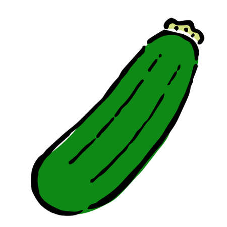 Illustration of Zucchini: Illustration like hand drawn illustration with ink and brushのイラスト素材