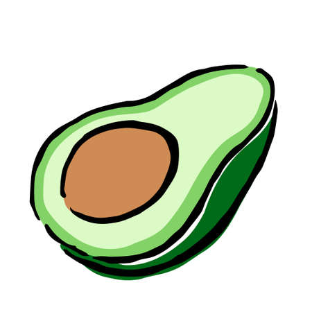 Illustration of Avocado: Illustration like hand drawn illustration with ink and brushのイラスト素材