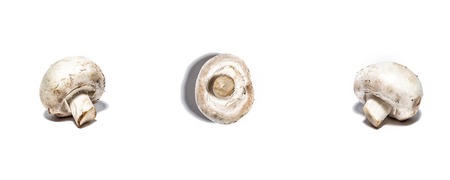 Whole mushrooms isolated on white top and side viewの写真素材
