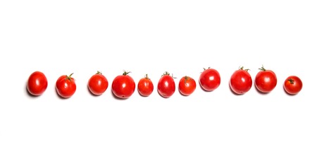 Row of fresh vine tomatoes isolated on white. Top view. Similarity or relatives conceptの写真素材