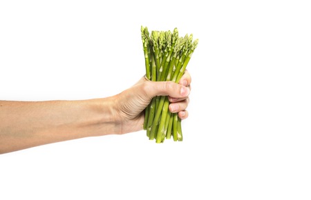 Woman's hand holds asparagus isolated on white backgroundの写真素材