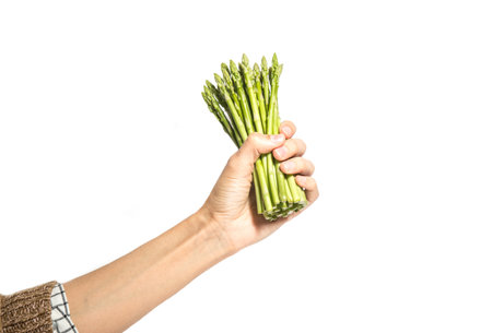 Woman's hand holds asparagus isolated on white backgroundの写真素材