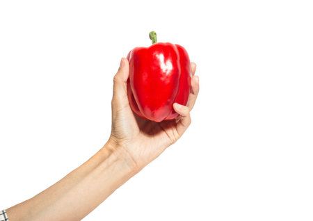 Woman's hand holds red sweet pepper isolated on white backgroundの写真素材