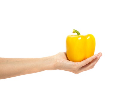 Woman's hand holds yellow sweet pepper isolated on white backgroundの写真素材