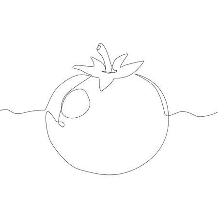 Tomato vegetable icon. Minimalist line art. Organic food concept Vector. Fresh garden illustration. EPS 10.のイラスト素材
