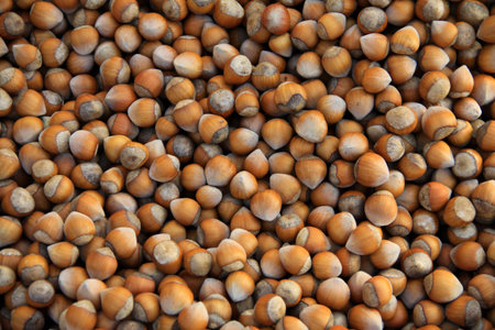 Hazelnuts