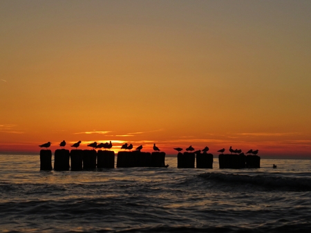 Beautiful Sunset on a Beach Seaside with Seagull Birdの写真素材