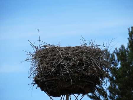 View at a Stork Nest at a Background of Clouds on the Skyの写真素材