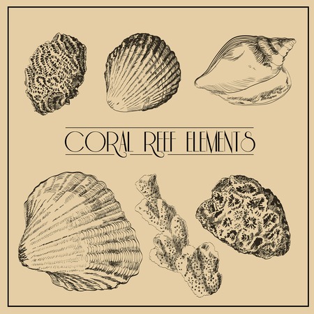 illustration with different realistic coral reef  elements. Hand drawingのイラスト素材