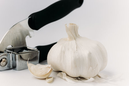 Garlic press and garlic on a white background. Close up.の写真素材