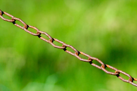 Close up rusty chain on green grass background