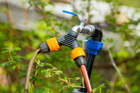 Garden hose or rubber tube with faucet for watering the grass in the garden.