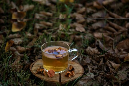 a Cup of tea on autumn yellow and brown leavesの写真素材