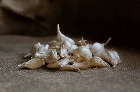 Garlic in the husk on the table fresh fragrant beautiful.の写真素材