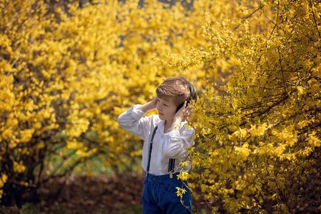 On a spring day, a boy with headphones listens to music with his eyes closed.の写真素材