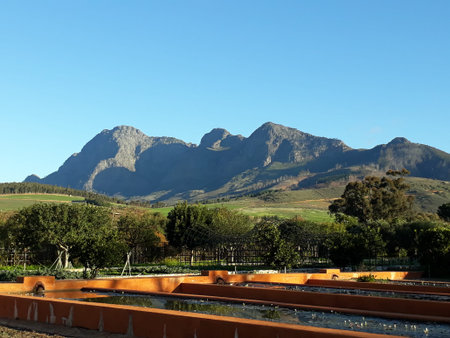 Mountains and green fieldsの写真素材