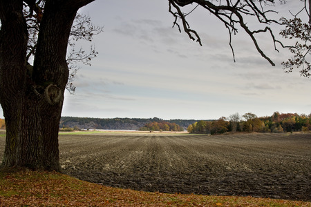 autumn fieldの写真素材